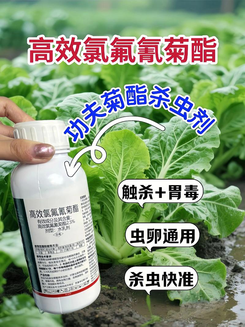 深圳代生中心:农药对供卵代生妈妈的危害